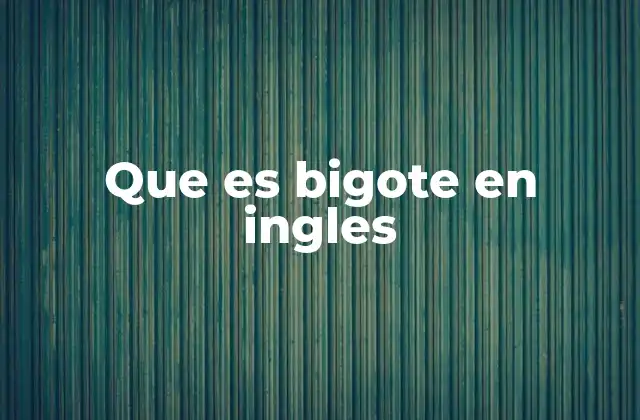 Que es Bigote en Ingles