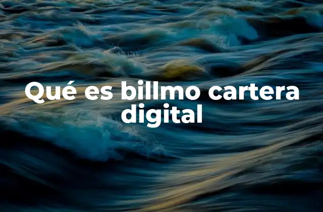 Qué es Billmo Cartera Digital