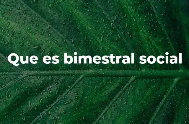 Que es Bimestral Social