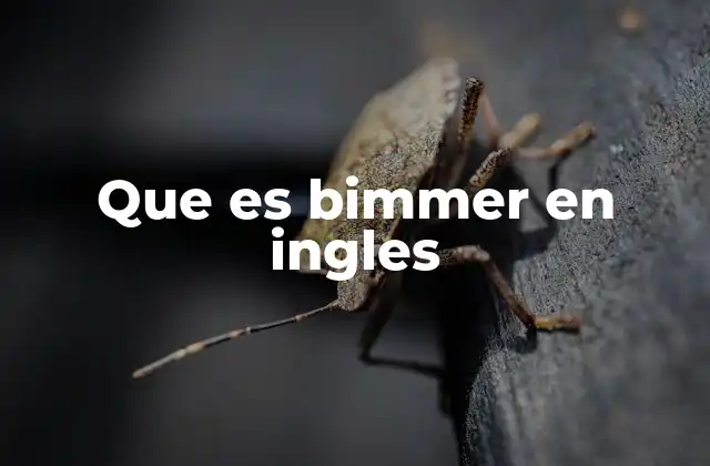 Que es Bimmer en Ingles