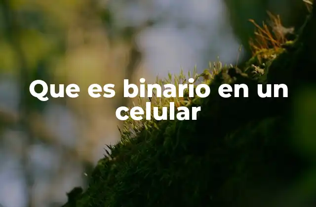 Que es Binario en un Celular