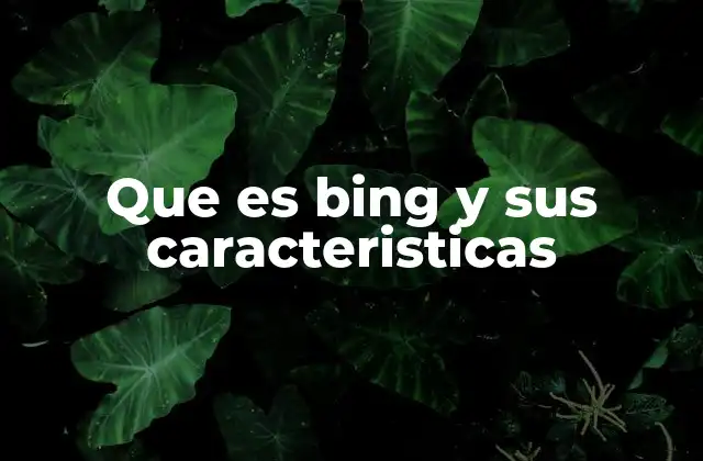 Que es Bing y Sus Caracteristicas