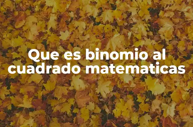 Que es Binomio Al Cuadrado Matematicas
