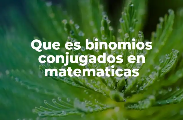 Que es Binomios Conjugados en Matematicas