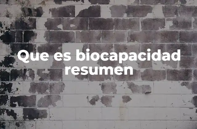 La relación entre biocapacidad y sostenibilidad
