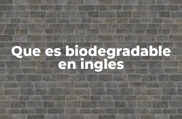 El proceso de biodegradación explicado