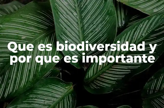 Que es Biodiversidad y por que es Importante
