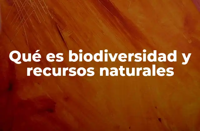 Qué es Biodiversidad y Recursos Naturales 2 La importancia de la biodiversidad y los recursos naturales para la vida en la Tierra