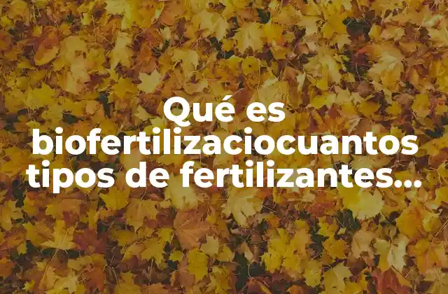 Qué es Biofertilizaciocuantos Tipos de Fertilizantes Hay y Cuales Son