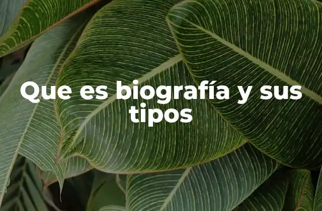 El propósito y la estructura de una biografía