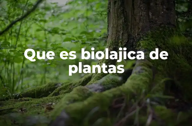 El estudio de la vida vegetal y su importancia ecológica