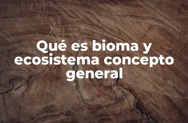 Qué es Bioma y Ecosistema Concepto General