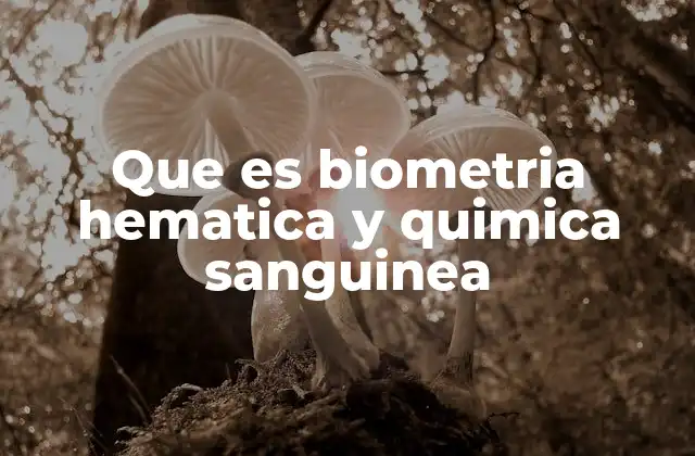 Que es Biometria Hematica y Quimica Sanguinea 2 Cómo se realizan los análisis de sangre para biometría y química sanguínea