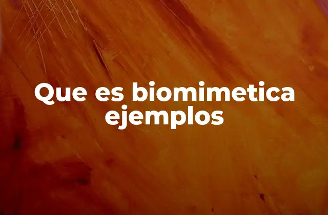 Que es Biomimetica Ejemplos