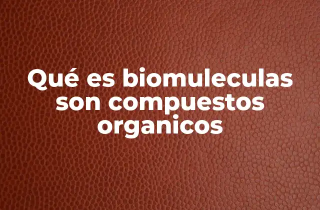 Qué es Biomuleculas Son Compuestos Organicos