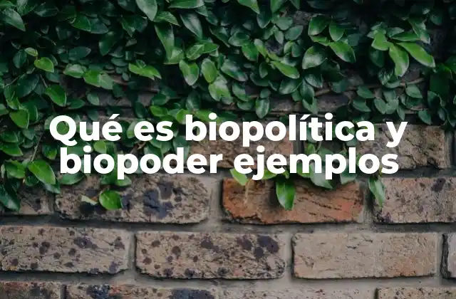 Qué es Biopolítica y Biopoder Ejemplos 2 La relación entre poder y vida en la modernidad