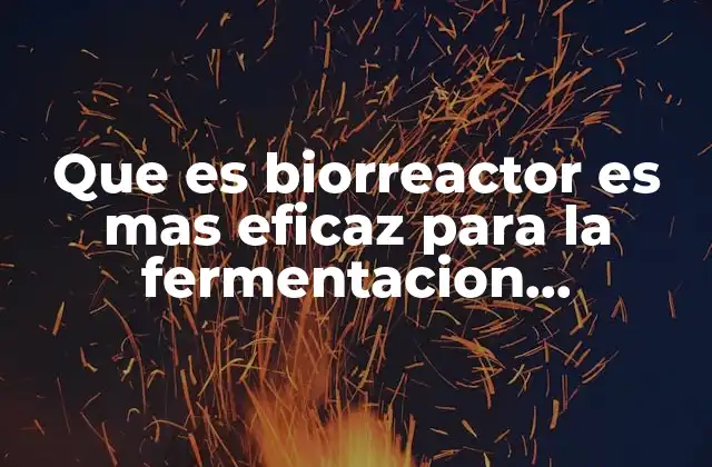 Que es Biorreactor es mas Eficaz para la Fermentacion Alcoholica