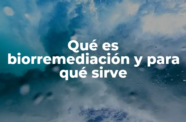 Qué es Biorremediación y para Qué Sirve