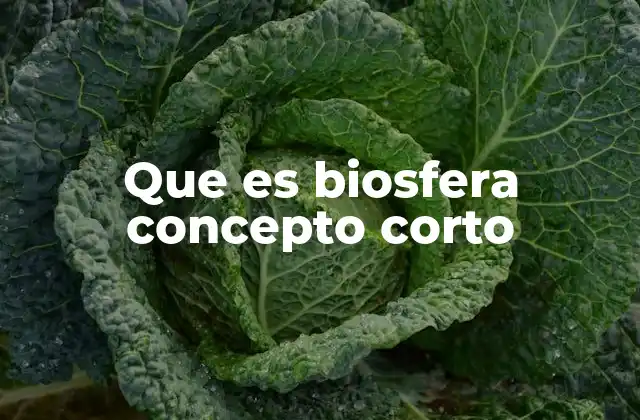 Que es Biosfera Concepto Corto