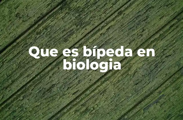 Que es Bípeda en Biologia 2 Características anatómicas de los bípedos