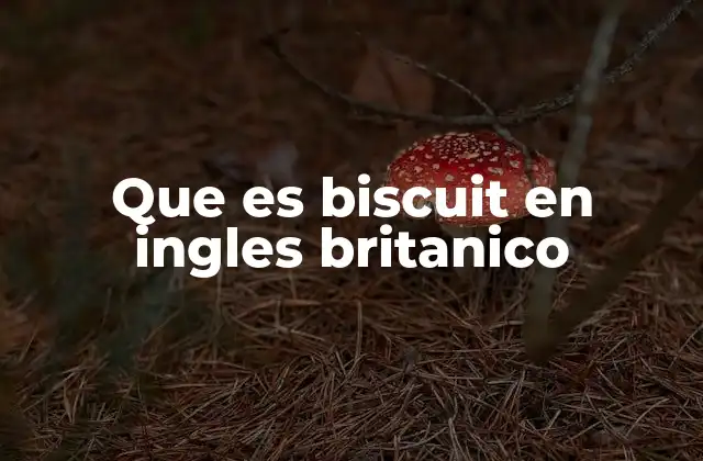 Que es Biscuit en Ingles Britanico