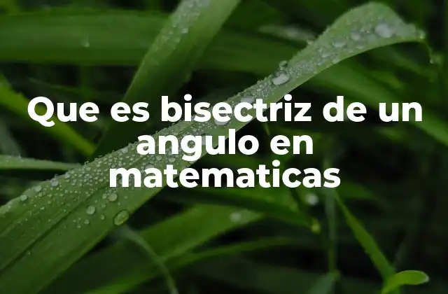 Que es Bisectriz de un Angulo en Matematicas 2 La importancia de dividir ángulos en geometría