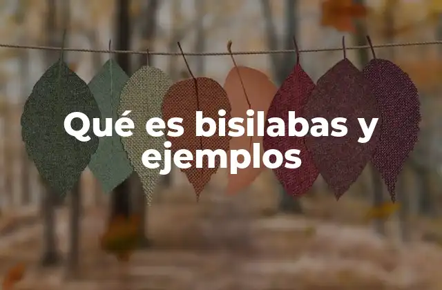 Qué es Bisilabas y Ejemplos