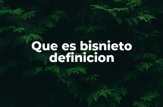 Que es Bisnieto Definicion