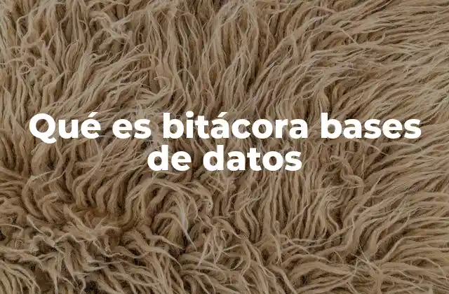 Qué es Bitácora Bases de Datos