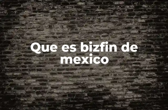 Que es Bizfin de Mexico