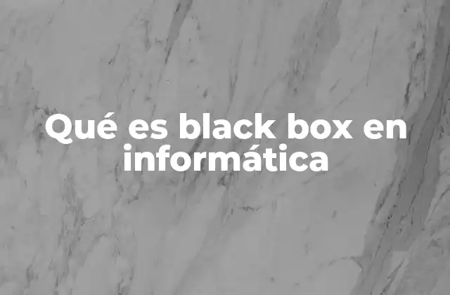 Qué es Black Box en Informática