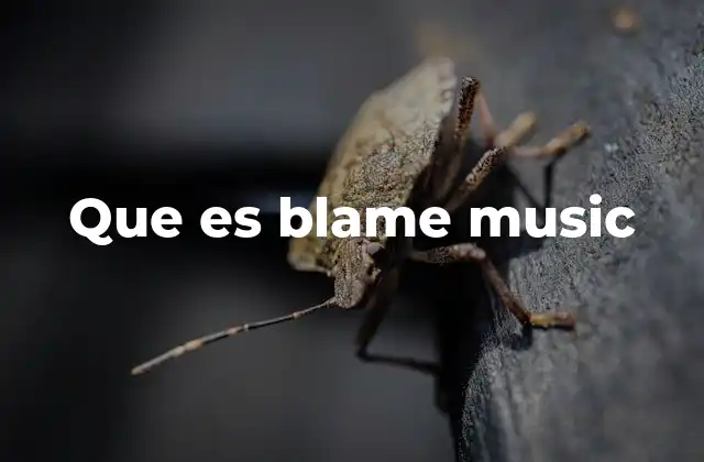 Que es Blame Music