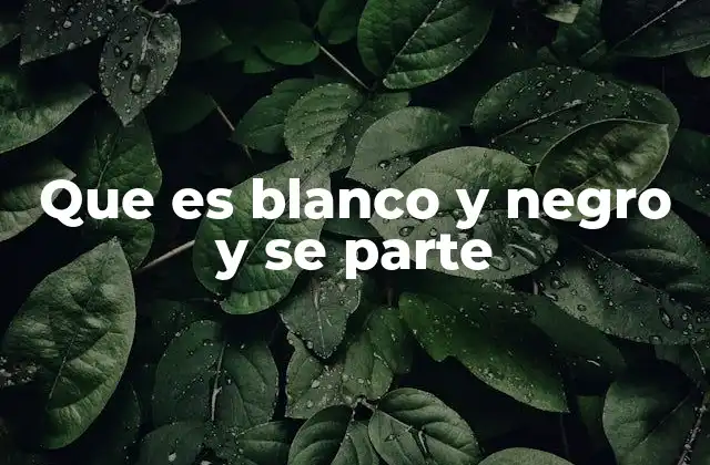 Que es Blanco y Negro y Se Parte