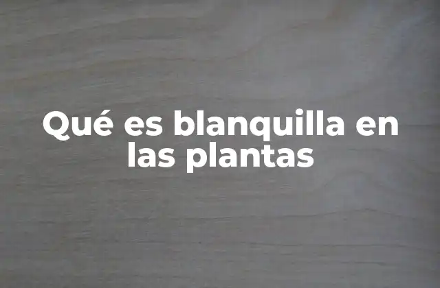 Qué es Blanquilla en las Plantas