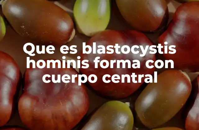 Que es Blastocystis Hominis Forma con Cuerpo Central 2 Características morfológicas del Blastocystis hominis
