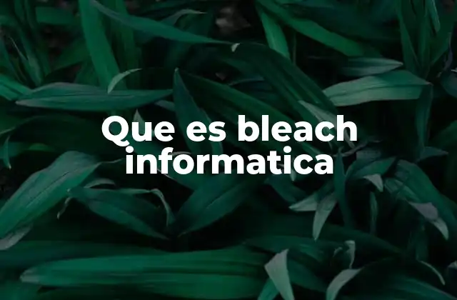 Que es Bleach Informatica