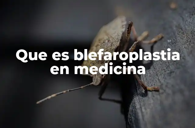 Que es Blefaroplastia en Medicina