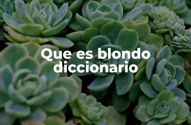 Que es Blondo Diccionario