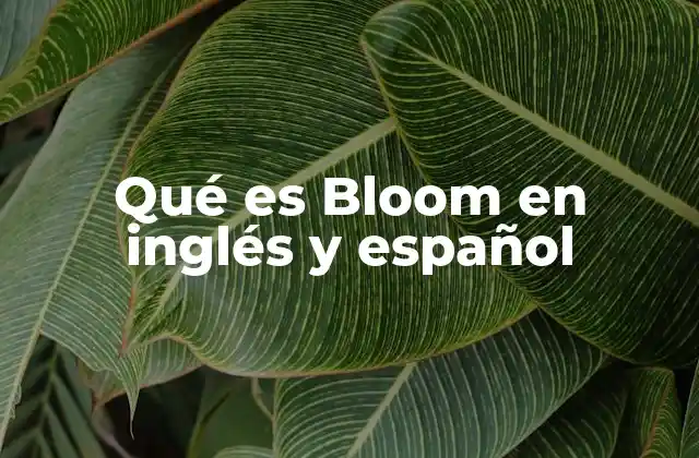 Qué es Bloom en Inglés y Español