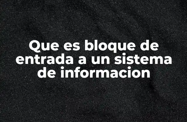 Que es Bloque de Entrada a un Sistema de Informacion