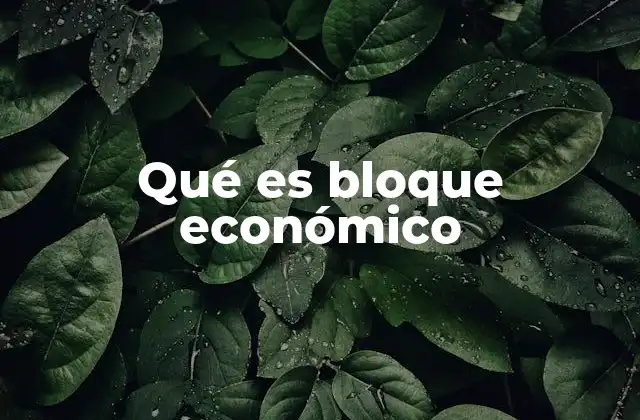 Qué es Bloque Económico