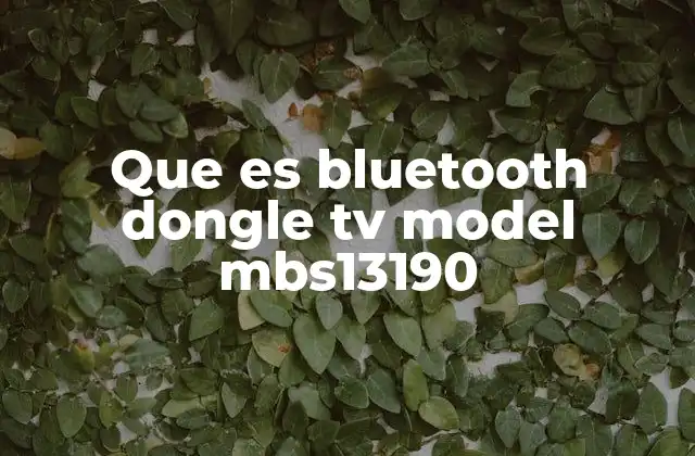Que es Bluetooth Dongle Tv Model Mbs13190