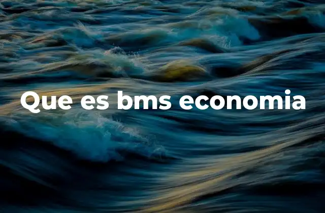 Que es Bms Economia