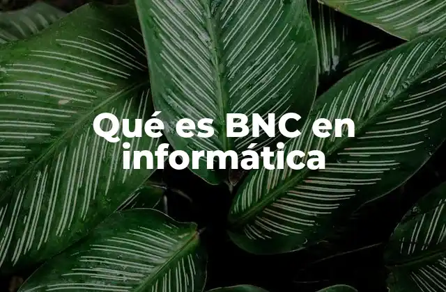 Qué es Bnc en Informática