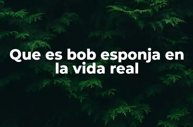 Que es Bob Esponja en la Vida Real