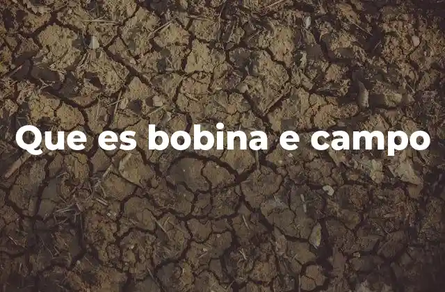 Que es Bobina e Campo