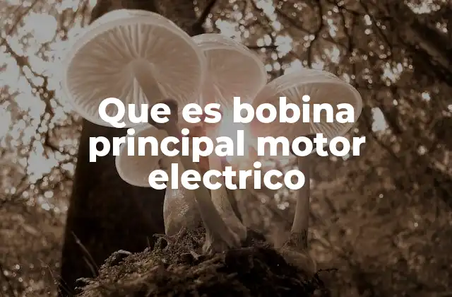 Que es Bobina Principal Motor Electrico