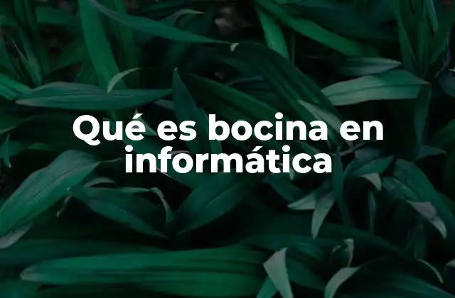 El papel de las bocinas en la experiencia multimedia