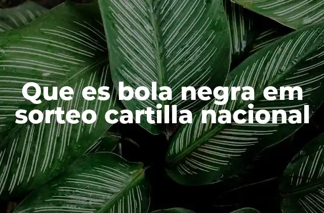 Que es Bola Negra Em Sorteo Cartilla Nacional