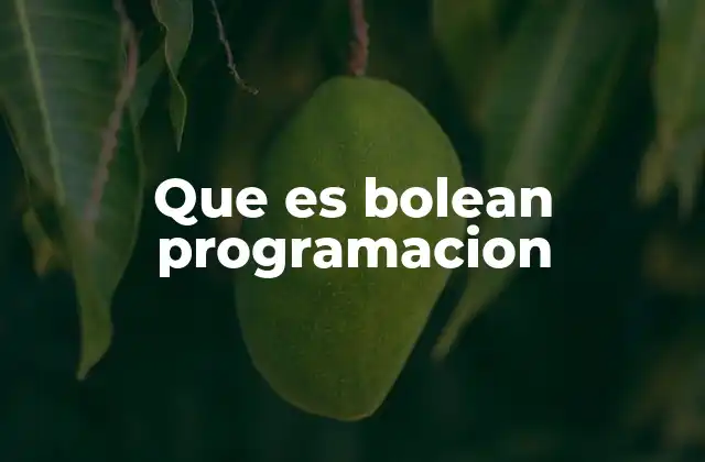 Que es Bolean Programacion